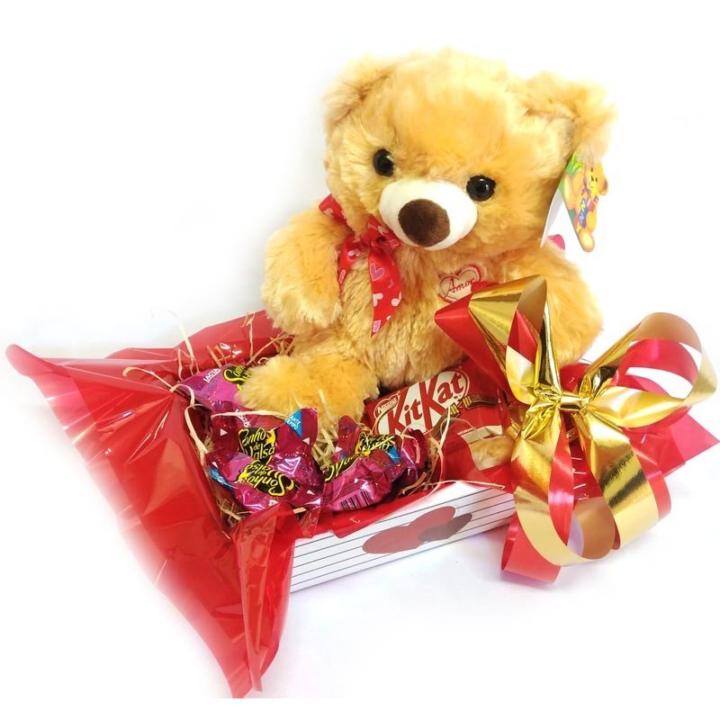 Urso 20cm com Chocolates